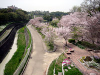 月観橋の上からの景色